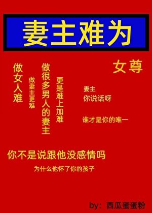 妻主难为(女尊)