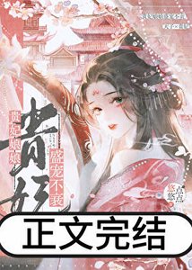 貴妃享享盛寵不衰