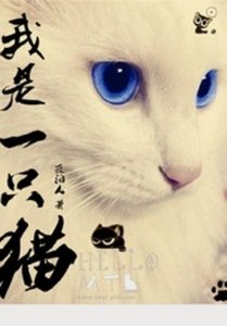 我是一隻貓