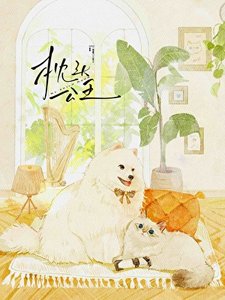 枕頭公主