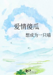 爱情傻瓜