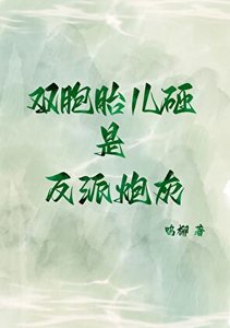 雙胞胎兒砸是反派炮灰