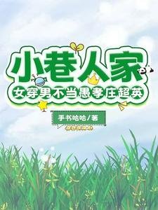 (影视同人)小巷人家:女穿男不当愚孝庄超英