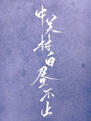中關村摆晝不止