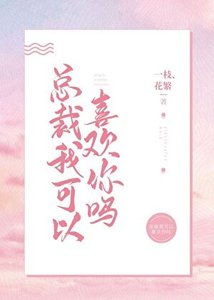 总裁,我可以喜欢你吗?