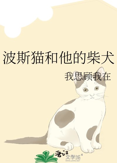 波斯猫和他的柴犬