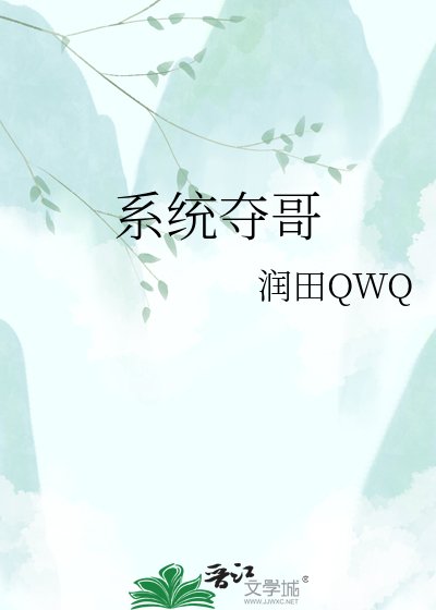 系统夺哥