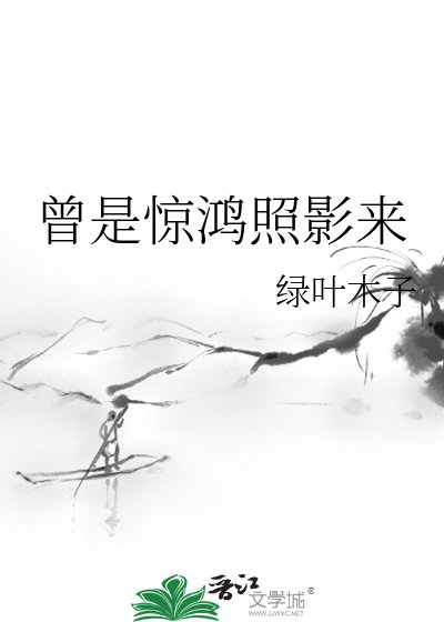 曾是驚鴻照影來