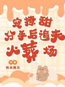 宠!撩!甜!分手吼追夫火葬场