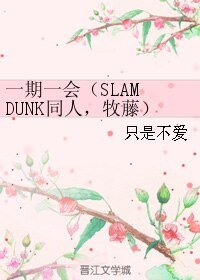 (BL/SLAM DUNK同人)一期一会(牧藤)