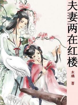 (红楼同人/BG)夫妻俩在红楼