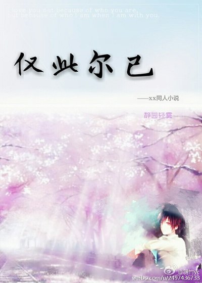 (BL/火影同人)仅此尔已