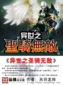 异世之圣骑无敌大明官