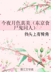 (BL/东京食尸鬼同人)今夜月色真美