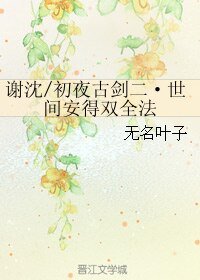 (BL/古剑二同人)谢沈/初夜古剑二·世间安得双全法