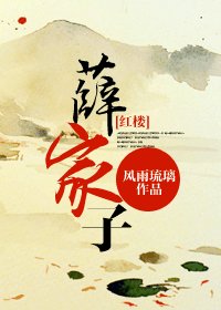 (BG/红楼同人)薛家子
