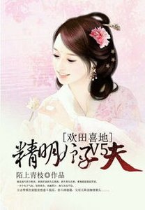 欢田喜地:精明娘子V5夫
