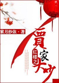 (紅樓同人)紅樓之賈家大少