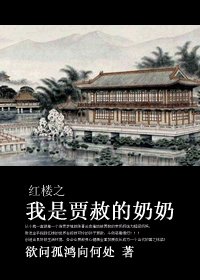 (紅樓同人)紅樓之我是賈赦的奶奶