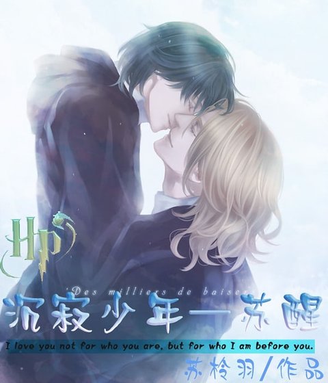 (HP同人)HP沉寂少年—苏醒