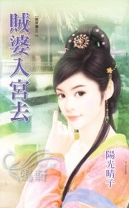 贼婆入宫去(贼保镖之二)
