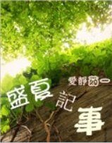 盛夏記事