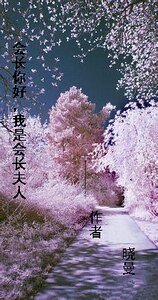 會長你好,我是會長夫人