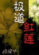 極道之旭+極道之登封少林武學院+極道之四個奶爸一個娃(極道紅蓮系列)