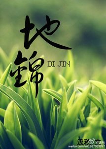 (盗墓同人)《地锦