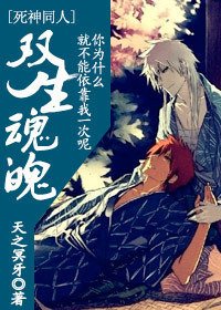 (死神同人)双生魂魄 cp:白黑一护