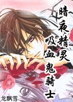 (吸血鬼骑士同人)暗夜精灵