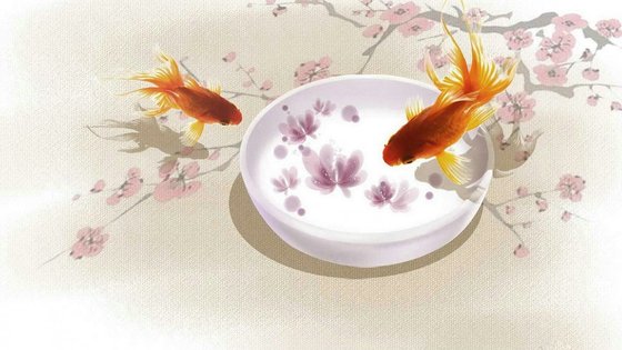 七秒暗恋