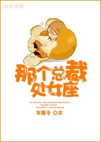 那个总裁,处女座