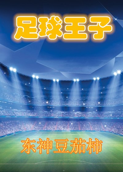 (足球同人)足球王子
