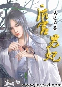 宫外风起(后宫男妃后传)