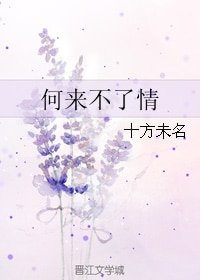 何來不了情