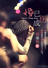 婚已成傷