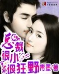 总裁很小很狂野
