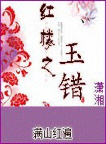 (BG/红楼同人)红楼之玉错