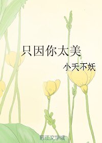 只因你太美