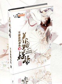 名门媳/养媳谋略