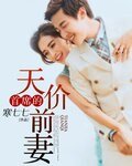 首席的天價前妻