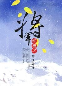 (BG/紅樓同人)紅樓之將軍