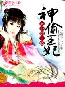 天下第一盗:神偷王妃