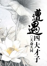 (BL/四大才子同人)遭遇四大才子