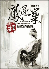 (紅樓夢同人)紅樓之鳳還巢
