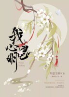 (BL/楚留香手遊同人)我心思明