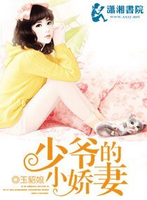 少爷的小娇妻/恋爱的犀牛
