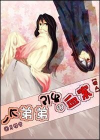 (BL/獵人同人)一個弟弟引發的血案
