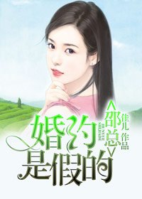邵总,婚约是假的